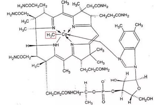 维生素 B12 和甲钴胺,是同一药物吗