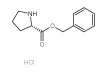 L-脯氨酸苄酯盐酸盐生产厂家_L-脯氨酸苄酯盐酸盐供应商_L-脯氨酸苄酯盐酸盐批发/供应/采购