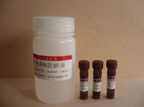 供应CAS:1188-37-0,N-乙酰-L-谷氨酸报价25克 1公斤 100克(sigma,TCI)-产品展示-卡迈舒生物技术(上海)