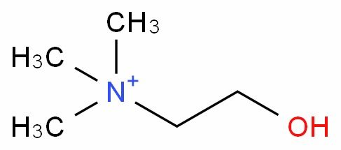 l 胆碱 cas 62 49 7 生产厂家 批发商 价格表