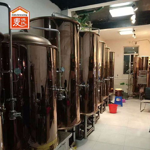 延边鲜酿啤酒设备100l啤酒设备厂家 麦德氏