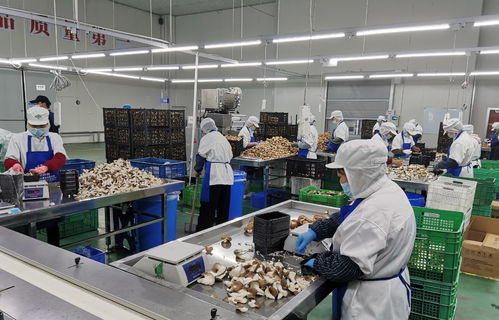 守护舌尖上的安全 宝山食品生产企业开展自律互查活动