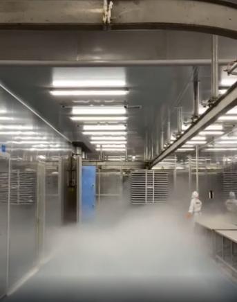 探厂国内宠物食品冻干厂 国产冻干品质如何，L-羟脯氨酸生产的关键作用