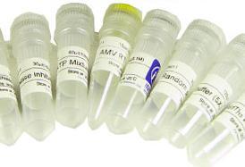 L-羟脯氨酸的生产 从天然提取到生物合成的现代工业流程