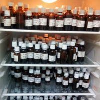 L-羟脯氨酸 生产工艺、应用与市场前景